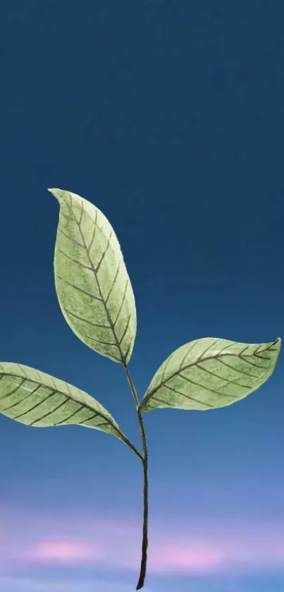 Green leaves against a tranquil blue sky background.