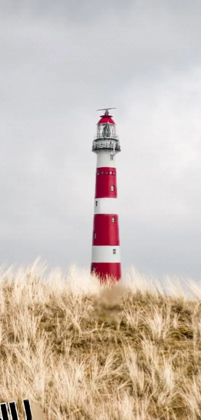 Red and white lighthouse under cloudy sky with coastal grassland