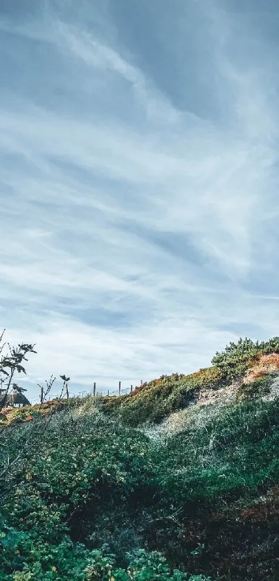 Lighthouse on a hill under a vast blue sky wallpaper.