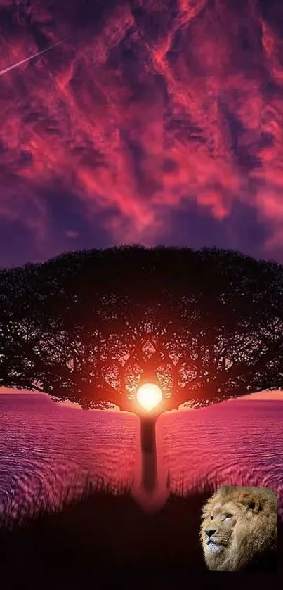 Sunset with tree silhouette and lion at dusk.