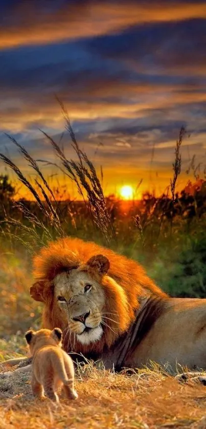 Majestic lion and cub at sunset in a serene wildlife landscape.