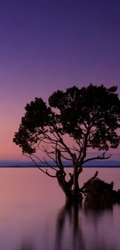 Lone tree silhouetted against a purple sunset over calm water.