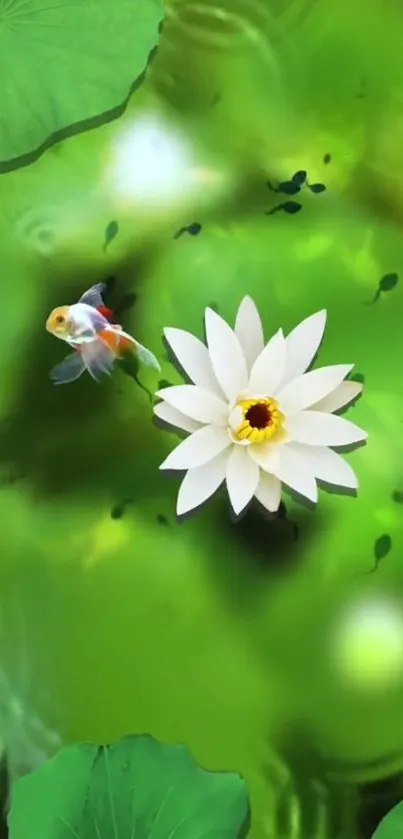 Serene wallpaper with lotus flower and koi on green background.