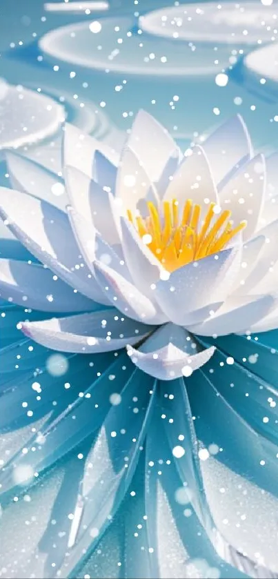 Serene white lotus in snowy blue waters wallpaper.