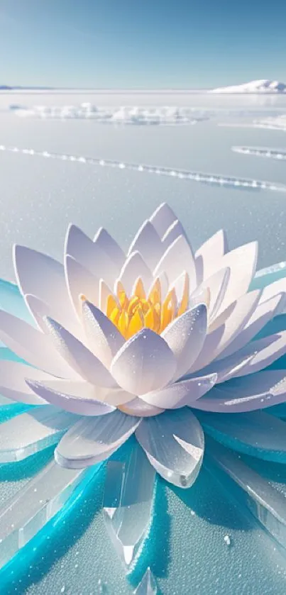 White lotus floating on an icy blue lake, creating a serene mobile wallpaper.