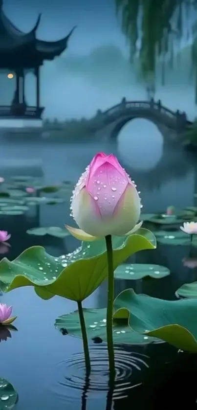 Lotus flower in a serene pond with misty background