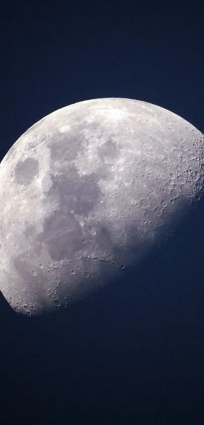 Half moon against deep blue sky with visible craters and details.