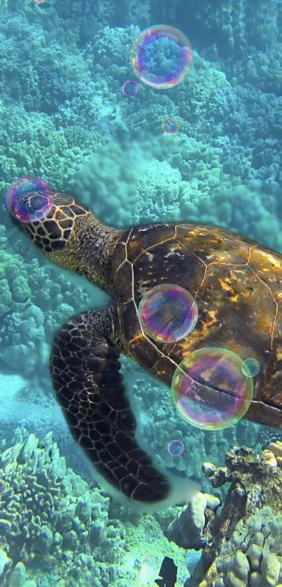 Mobile wallpaper featuring a sea turtle swimming in a vibrant coral reef.