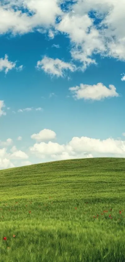 Lush green meadow under a vibrant blue sky with scattered fluffy clouds.