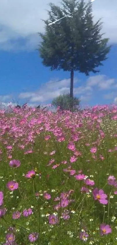 Serene meadow with pink wildflowers and a lone tree under a blue sky.