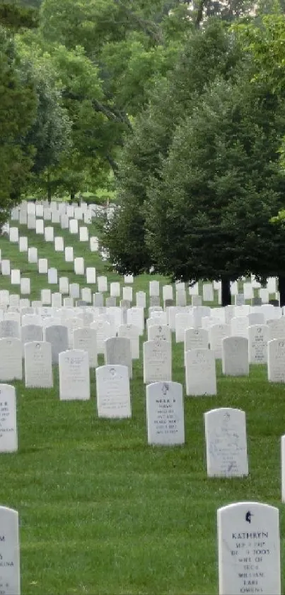 Serene view of a cemetery with white headstones and lush green grass.