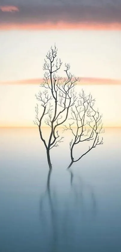 Minimalist wallpaper with a tree in calm water and a pastel sky backdrop.