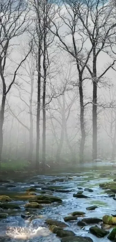 Misty forest stream with tranquil waters and lush greenery.