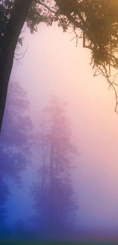 Ethereal misty forest with silhouetted trees at sunrise.