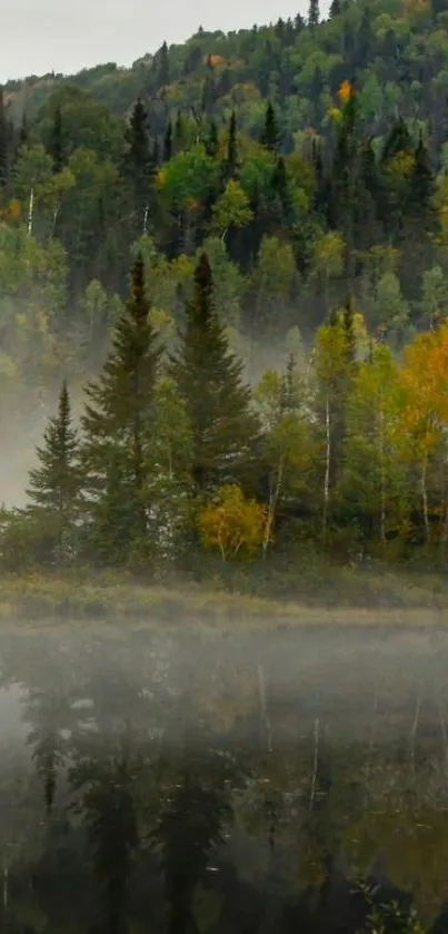 Misty forest landscape with tranquil reflections on a serene lake.