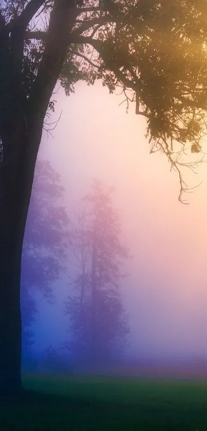 Misty forest wallpaper with serene trees and soft sunrise colors.