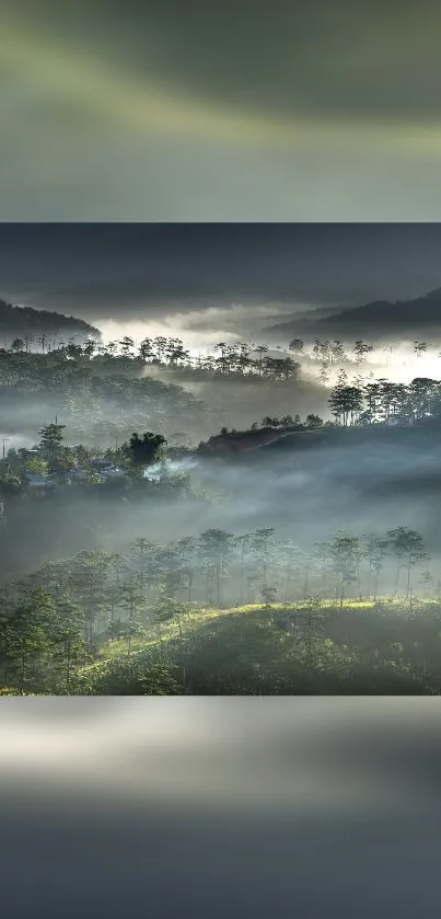 Misty green forest with foggy hills and serene landscape.