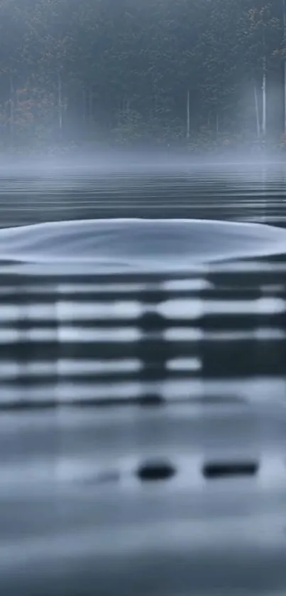 Misty lake with serene water reflection