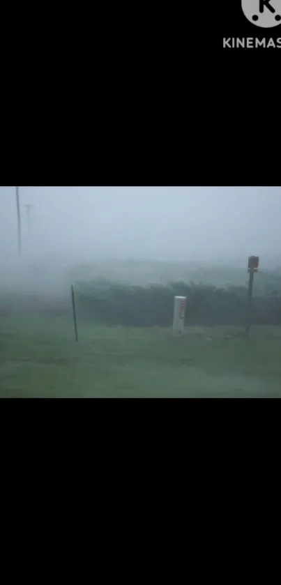 Misty landscape with fog enveloping a green field, creating a tranquil scene.