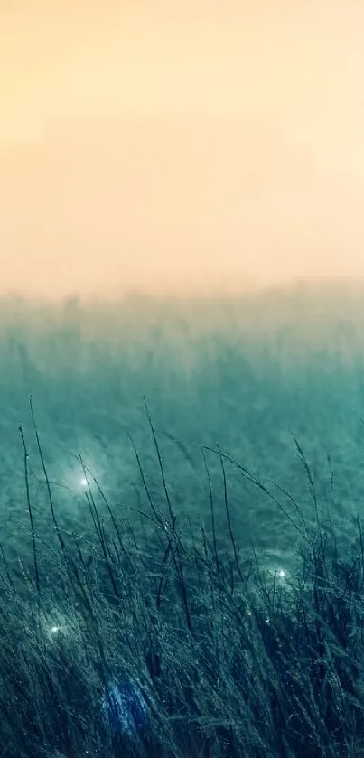 Serene misty meadow at sunrise with glowing lights.