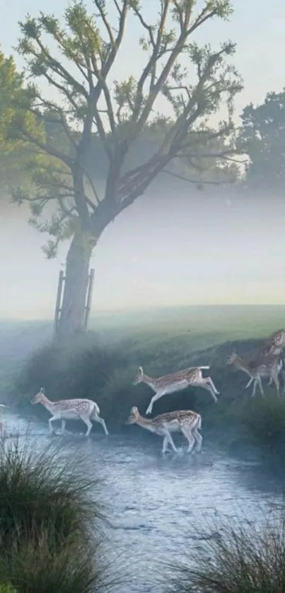 Deer by a misty river in a serene morning scene.