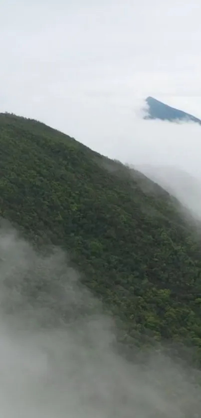 Misty mountain landscape with lush greenery and fog.