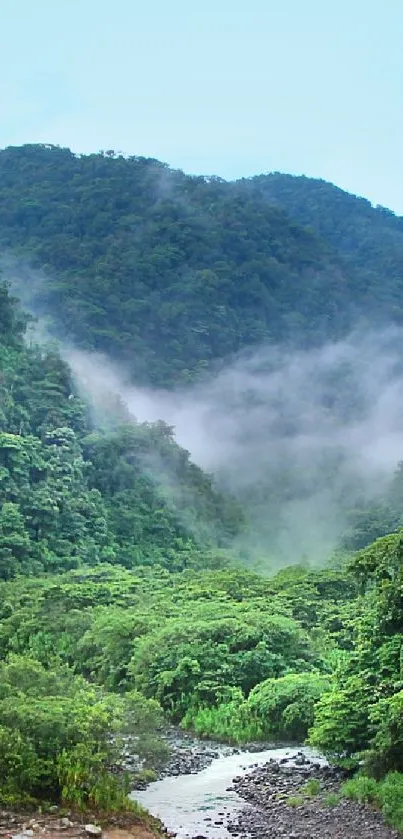 Misty mountain landscape with lush greenery.