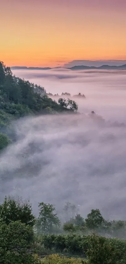 Misty mountain landscape at sunrise