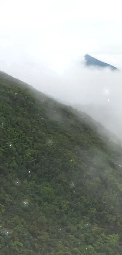 Lush green misty mountains shrouded in ethereal fog.