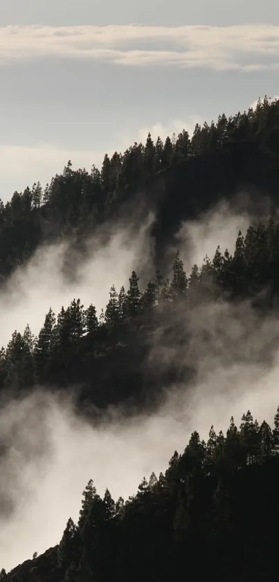 Misty mountain landscape with lush forests and rolling fog.