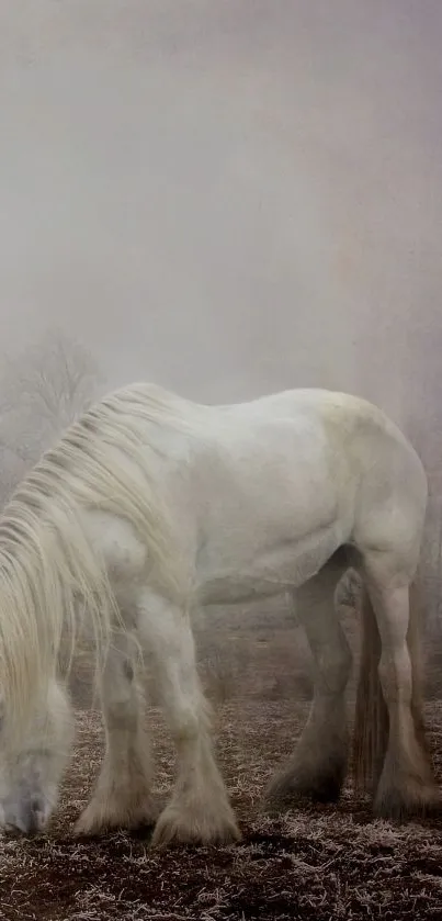 Misty white horse in a serene landscape scene.