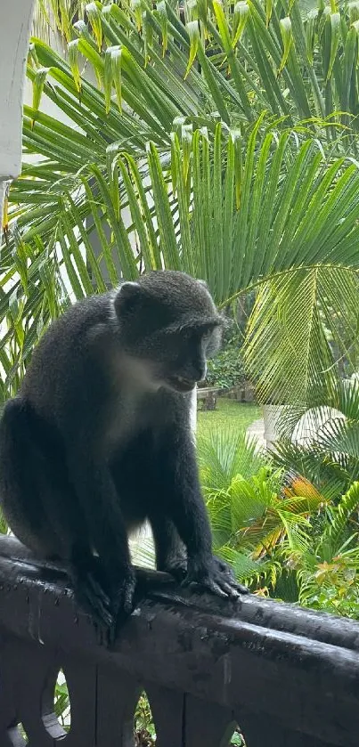 Monkey sitting on balcony surrounded by lush jungle greenery.