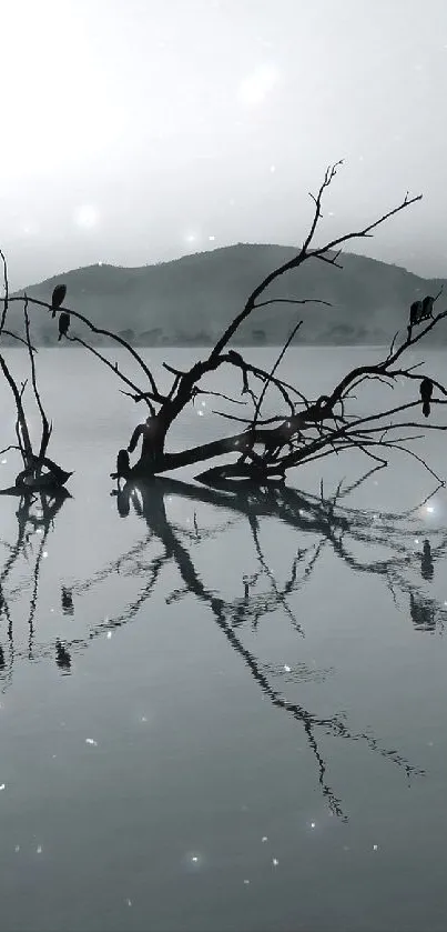 Monochrome lake view with misty reflection and serene ambiance.