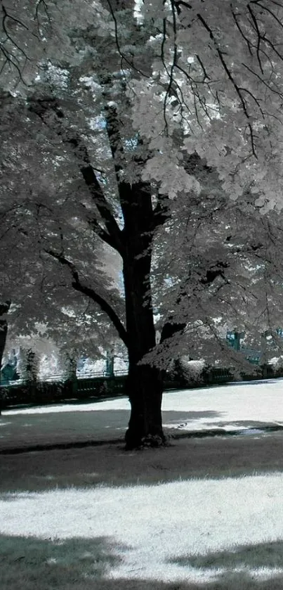 Monochrome tree with gray shades in a serene setting.