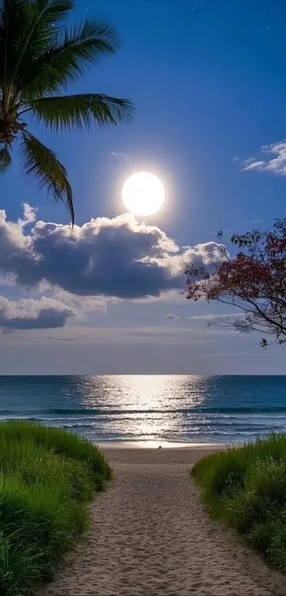A serene moonlit beach path under a glowing night sky with palm trees.