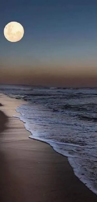 Moonlit beach with waves under a full moon.