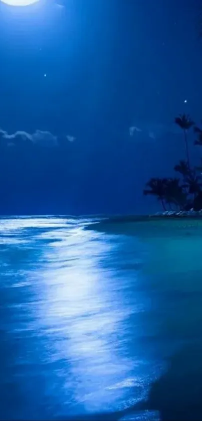 Moonlit beach with palm trees at night.