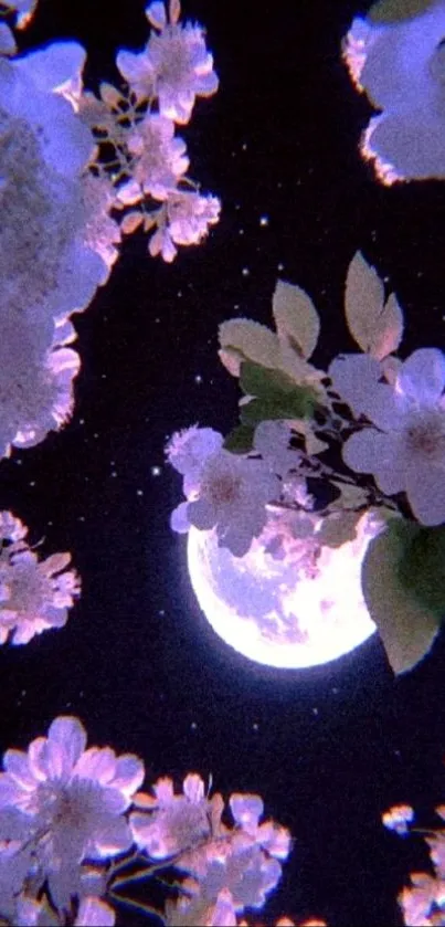 Moonlit cherry blossoms with a full moon and stars, creating a serene night view.