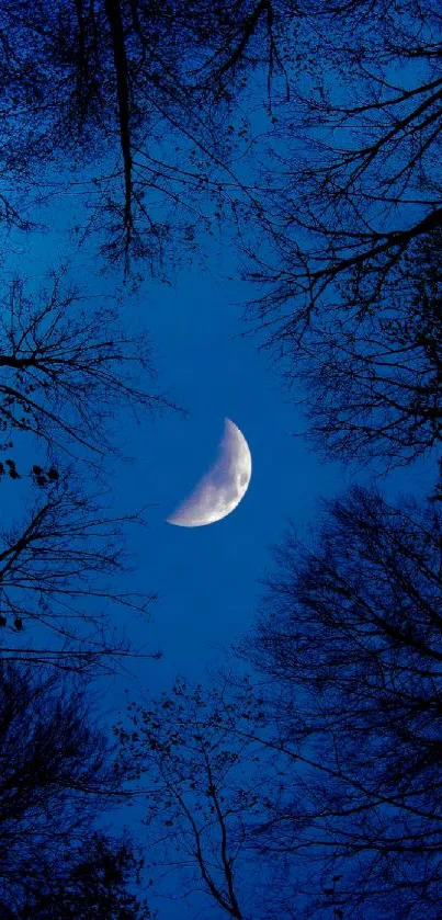 A crescent moon above silhouetted trees against a deep blue night sky.