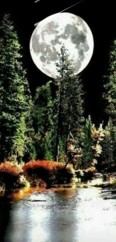 Moonlit forest wallpaper with serene reflections and lush greenery.