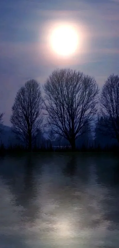 Moonlit trees reflected on still water, creating a serene natural scene.