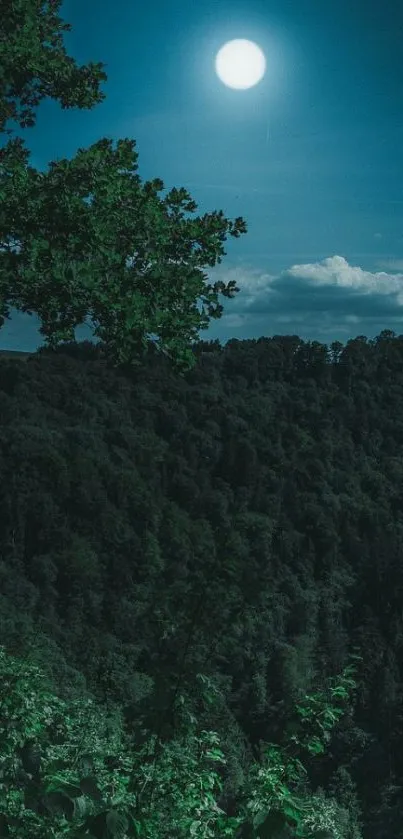 Moonlit forest under a peaceful night sky.