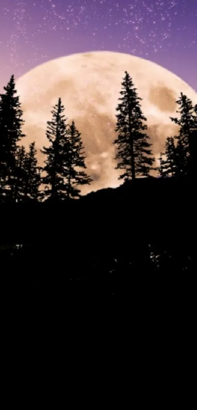 Serene night landscape with moonlit lake and tree silhouette.