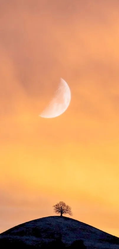 Serene night landscape with moon and tree silhouette on a warm orange backdrop