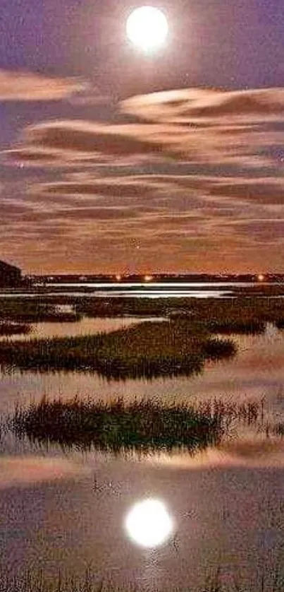 Moonlit marsh with serene water reflection and tranquil purple sky.