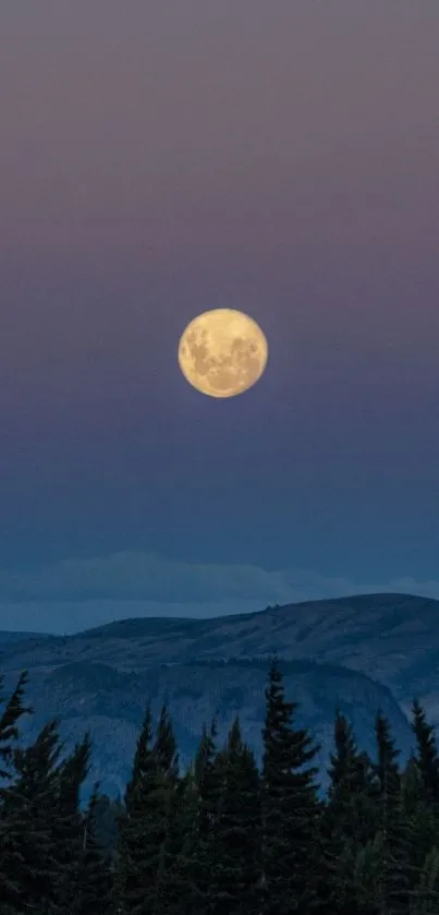 Calming moonlit mountain landscape wallpaper.