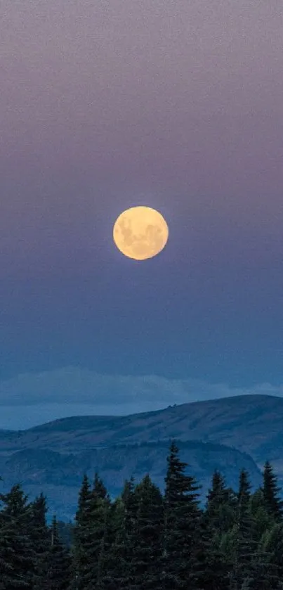 Moon illuminating mountains and forest at twilight.