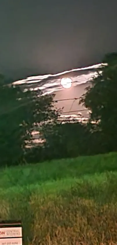 Moonlight illuminating a dark, serene countryside night scene.