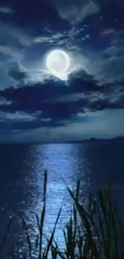 Full moon over dark ocean with clouds and grasses.