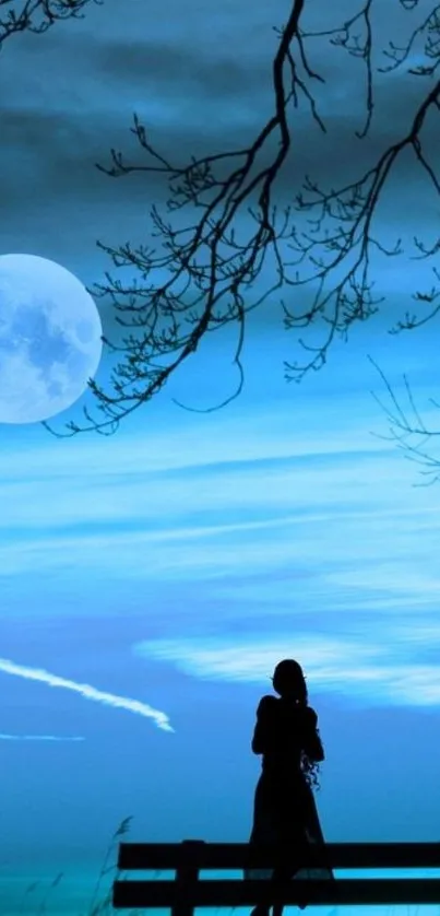 Moonlit night scene with silhouette under a blue sky.